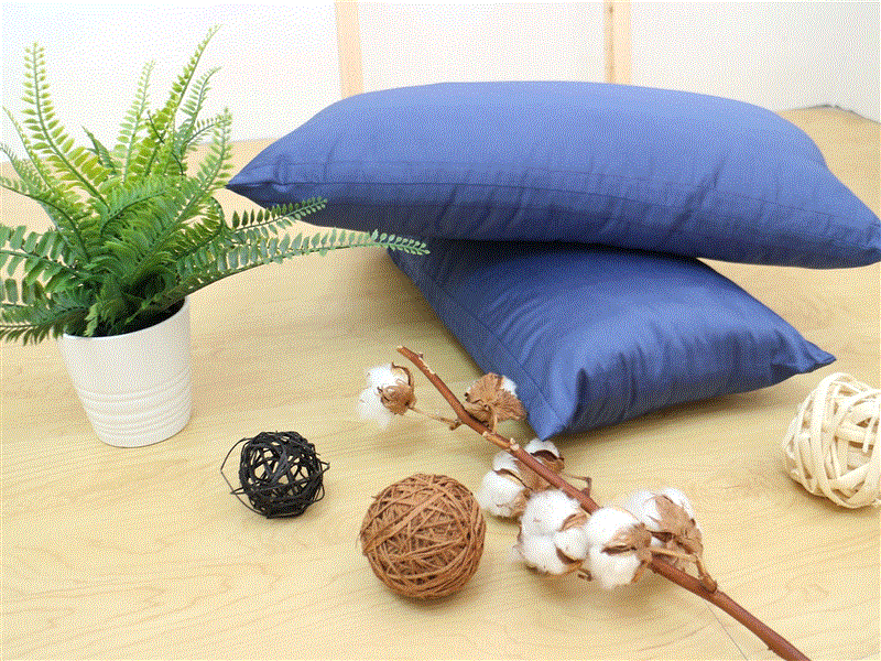 天菊午安枕(枕套花色隨機出貨),天菊農場